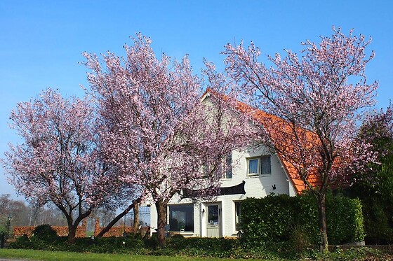 B&B Sagenland - photo 0
