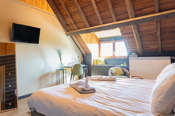 B&B Burgemeestershof & privé wellness - photo 20