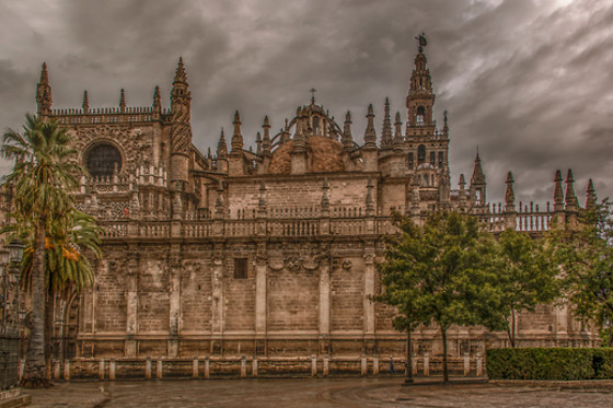 TOLARTE - photo 3