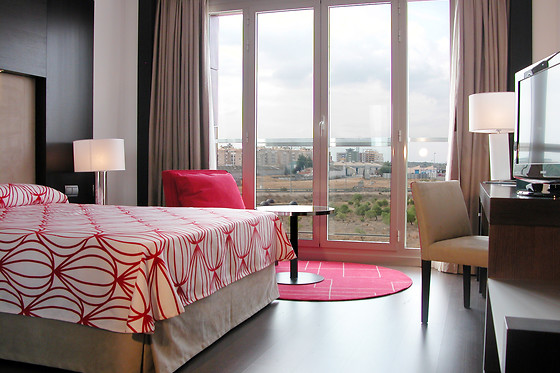 HOTEL PALACIO ALBACETE & SPA - photo 10
