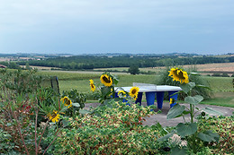 Domaine des Cadets de Gascogne