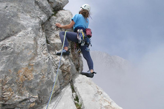ALPINE PROJECT - photo 7