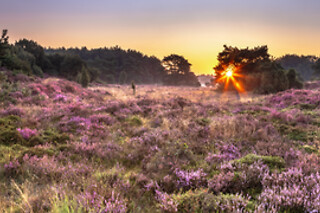 2 Dagen in Drenthe