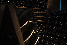 Cantine Bosca