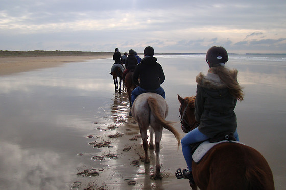 Centre équestre des dunes - photo 1