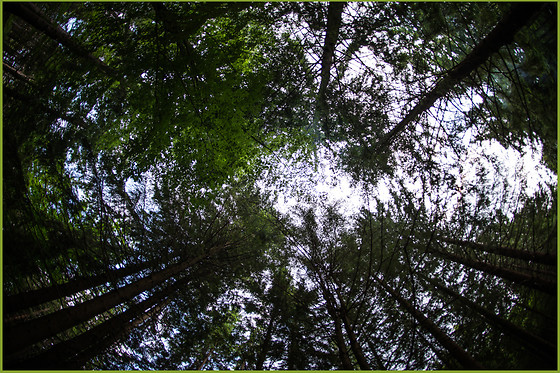 AC Factory Scuola di Fotografia - photo 24