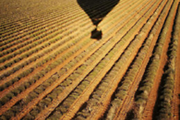 Azur Provence montgolfières
