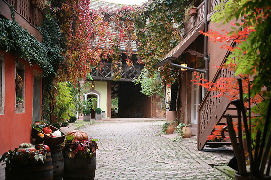 Pêche de Vigne Hôtel & Spa - photo 3