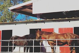 QUINTINHA PEDAGÓGICA DE CANELAS | CENTRO EQUESTRE COUTO PEREIRA