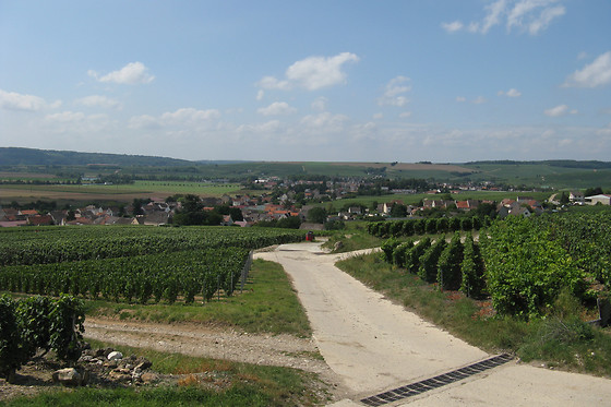 Champagne Pierre Laurent - photo 2