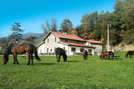 Agriturismo Carovane - photo 4