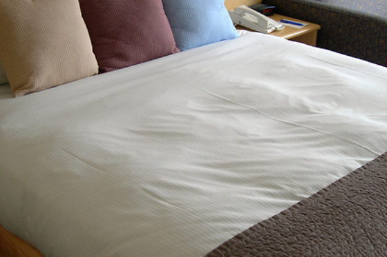 HOTEL PUERTO MÁGINA - photo 10