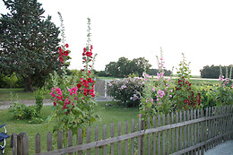 Du Coté Vignes