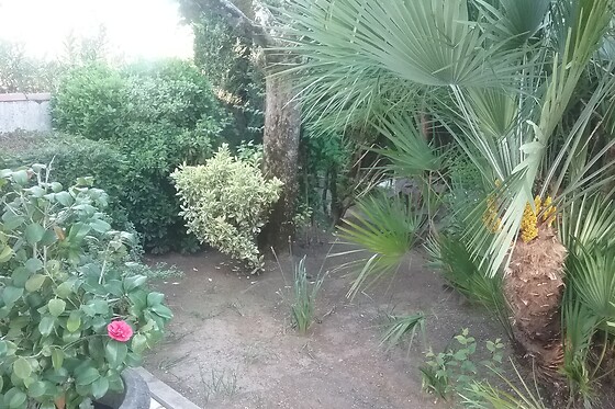La Roseraie - photo 9