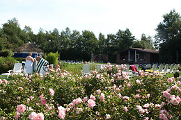 Thermen de Waterlelie