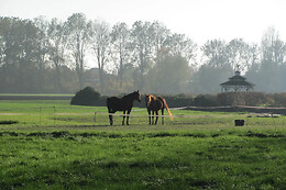 Huize Weltevree