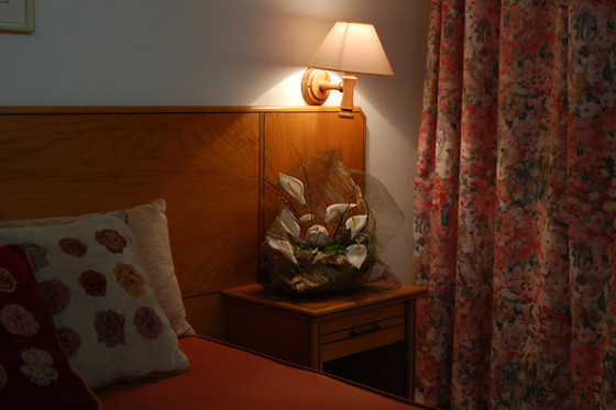 Hotel Pantanha - photo 4