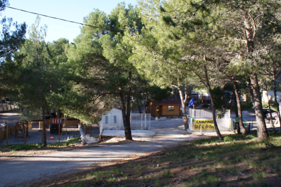 LE BOIS DE PINS - photo 3