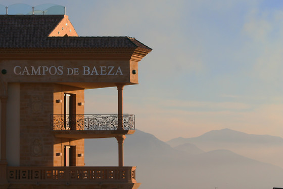 HOTEL CAMPOS DE BAEZA - photo 6