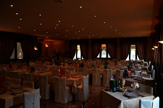 Albergo Diana - photo 6