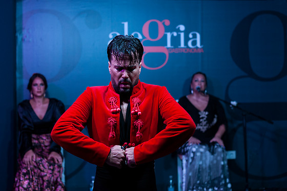 ALEGRÍA FLAMENCO Y GASTRONOMÍA - photo 1
