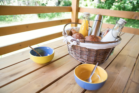 Les Cariamas - photo 7