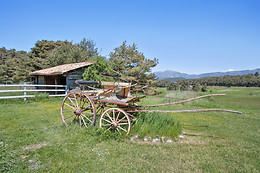 La Bastide des pins