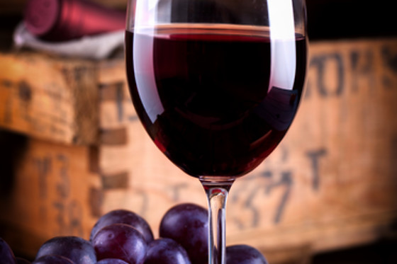 CURSO CATA DEL VINO - photo 3