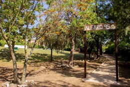 Alfaro'95