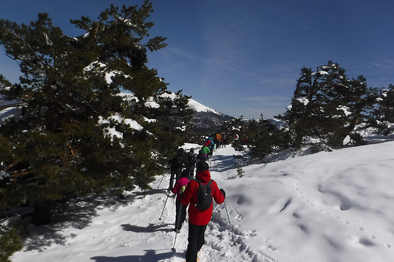 PLANETSPORT MULTIAVENTURA - photo 6