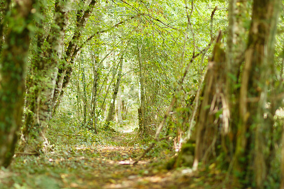 L'Envol - photo 7