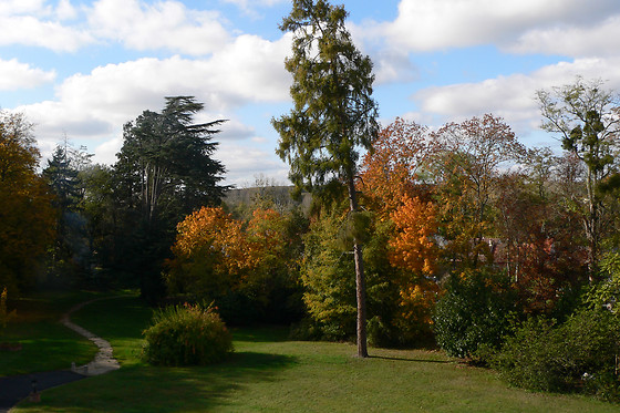 Château de la Rozelle - photo 4