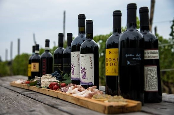 Cascina La Maddalena Bed & Wine - photo 5