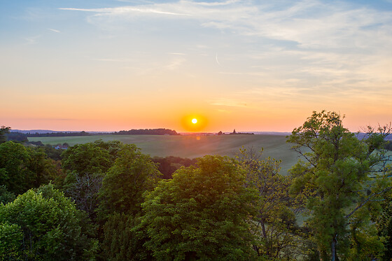 Château de la Côte - photo 11