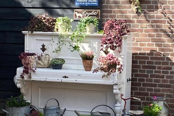 Bed and Breakfast  In Two - photo 5