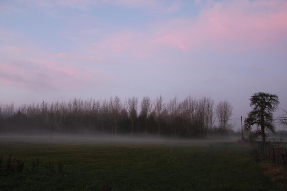 Leybeeckhof - photo 4