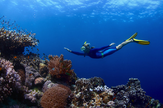 SCUBA PLUS - photo 10