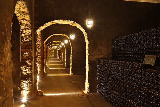 Caves Messias - photo 1