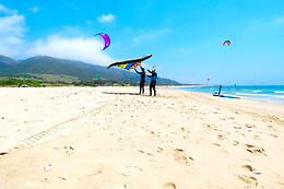 WINGS TARIFA