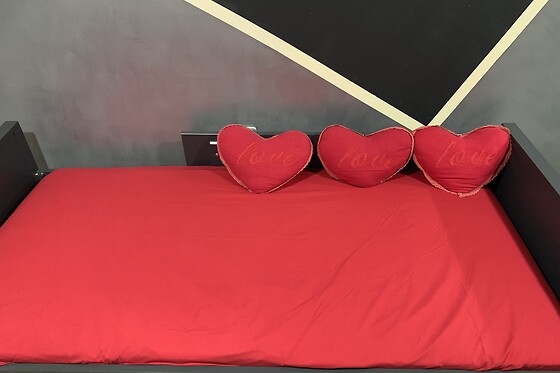 La Pâquerette - photo 17