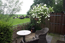 Bed & Breakfast De Zwanebloem