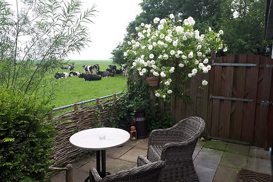 Bed & Breakfast De Zwanebloem - photo 7