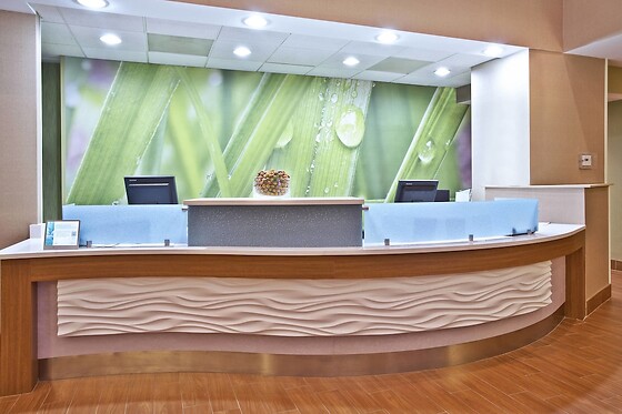 Online Booking EPS - photo 8