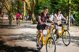 Yellow Bike