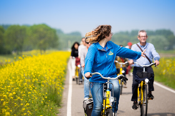 Yellow Bike - photo 0