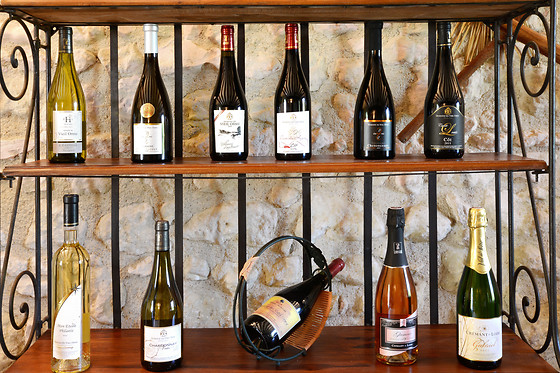 Domaine du Vieil Orme - photo 8