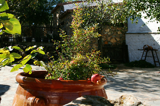 HOSTERÍA CASA ADRIANO - photo 5