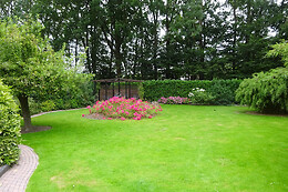 De Buitenhof