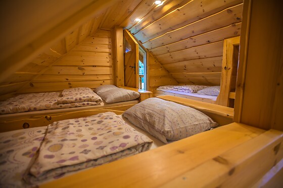 Les ombrages de l'Adour - photo 1