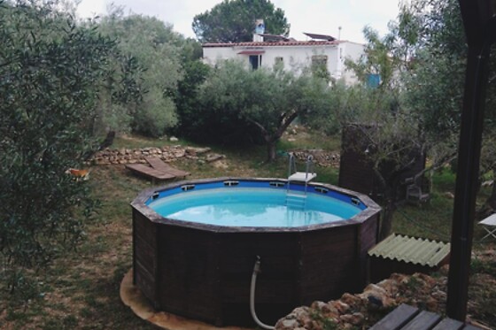 ECOTURISMO VILLAFELICHE - photo 22